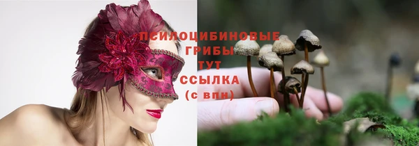 тгк Беломорск