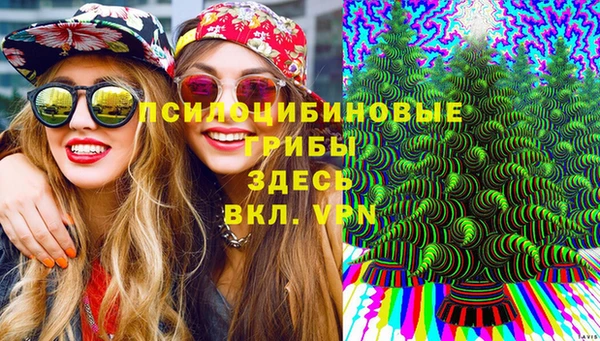 тгк Беломорск