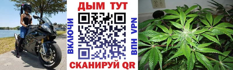 Купить  Слободской  МАРИХУАНА сатива 
